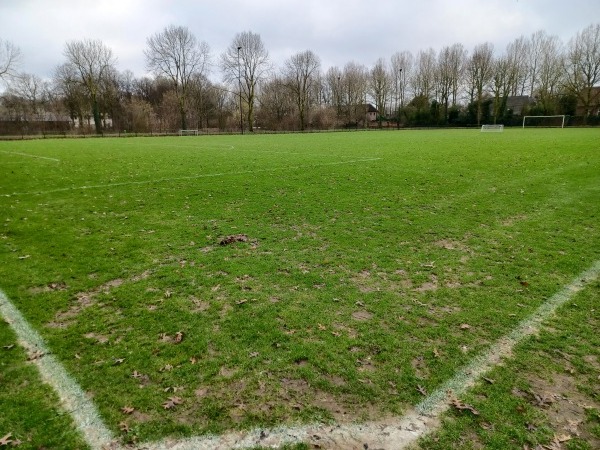Sportpark Amstelhoef veld 4 - Oss