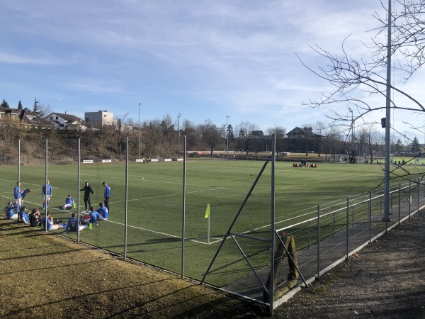 Arena Hochdorf Kunstrasenplatz - Hochdorf