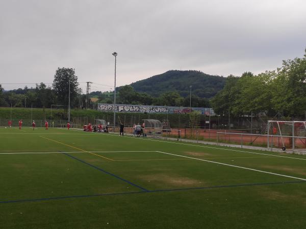 ESV-Sportzentrum Platz 2 - Freiburg/Breisgau-St. Georgen