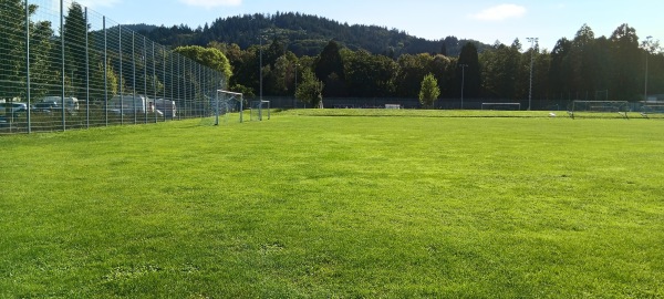 Sportanlage im Hinterkirch Platz 3 - Freiburg/Breisgau-Zähringen