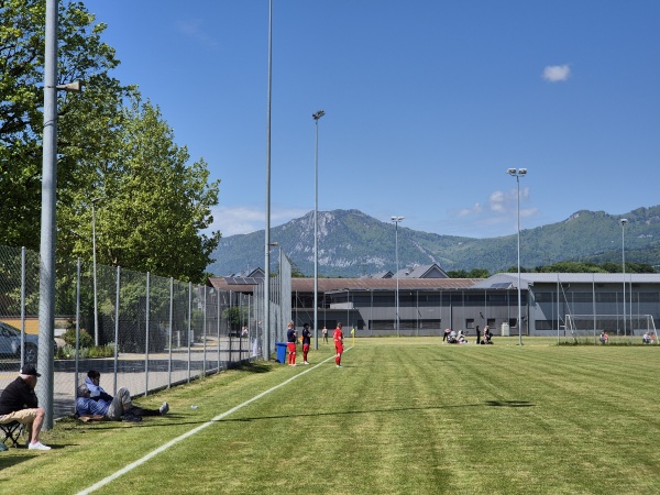 Sportplatz Staadfeld - Wangen an der Aare