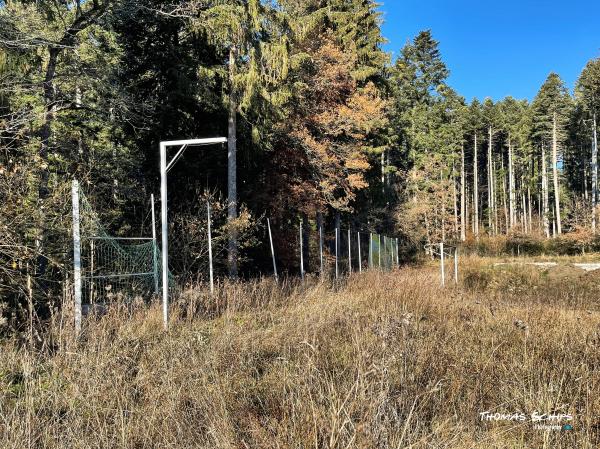 Sportplatz Eichenwasen - Denkingen