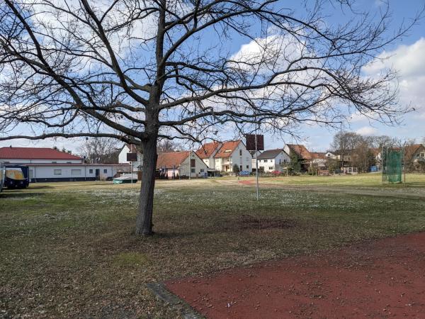 TSV-Sportplatz - Freinsheim
