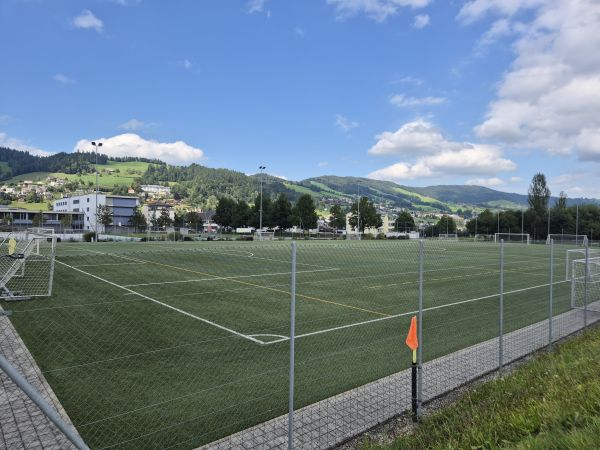 Sportplatz Schönenbüel - Unterägeri