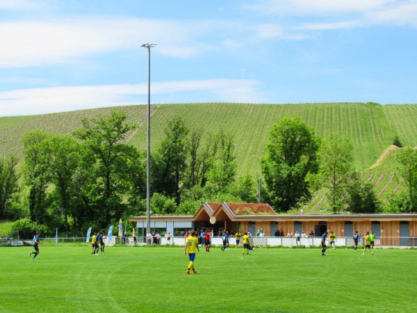 Stade Municipal du Moulin - La Plaine