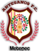 Wappen Artesanos Metepec FC  123754