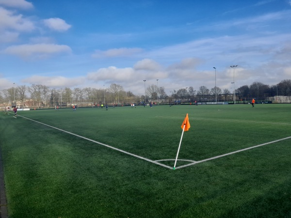Sportpark Ossenkoppelerhoek veld 02-Oranje N. - Almelo-Ossenkoppelerhoek