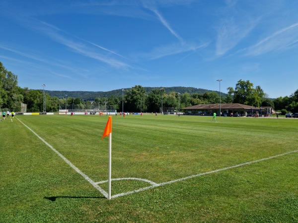 ACUMAX-Arena - Dietikon