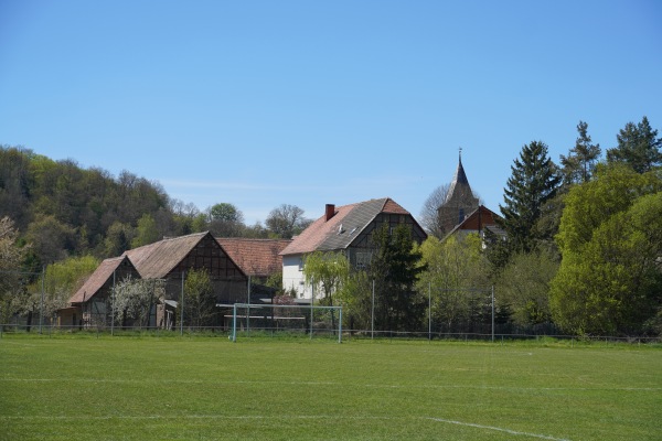 Sportplatz Biesenrode - Mansfeld-Biesenrode