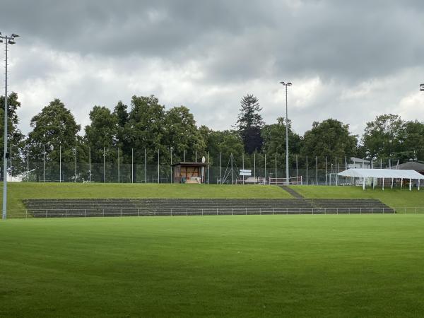 Stade du Guintzet - Fribourg