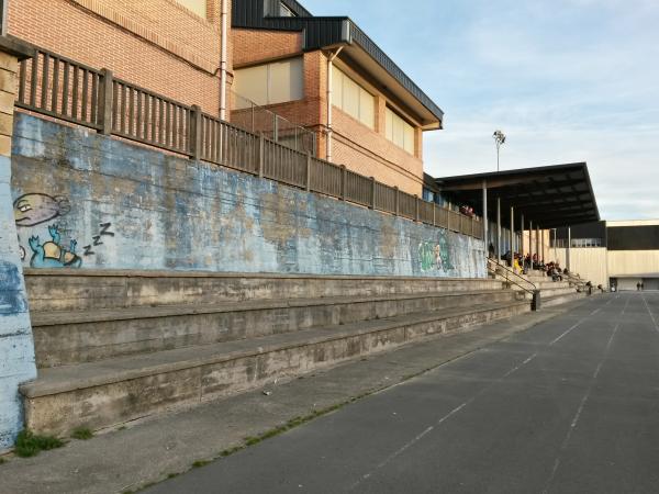 Polideportivo Larrea - Amorebieta-Etxano, Euskadi