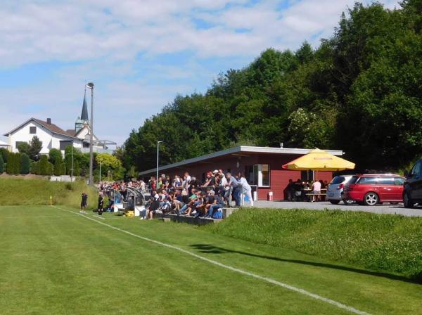 Sportplatz Dammweg - Goldach