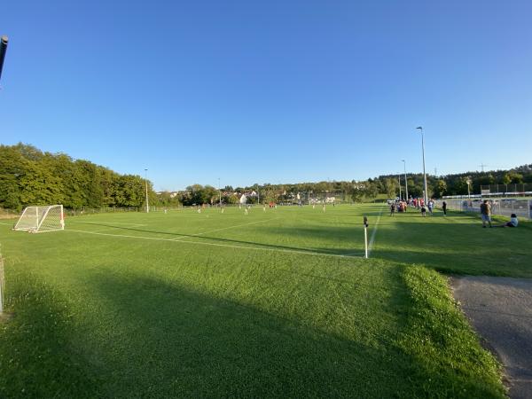 Sportanlage Jahnstraße Platz 2 - Buchen/Odenwald-Hettingen