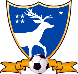 Wappen Deportivo Suchitepéquez  8723
