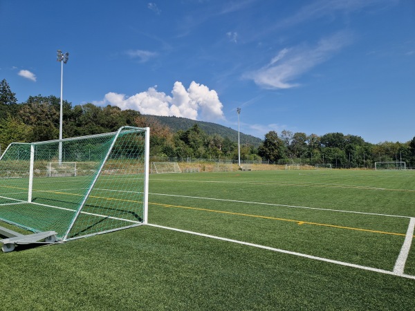 Stade de Pierre-à-Bot terrain C - Neuchâtel