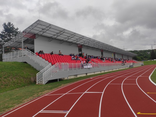 Mestské športové kluby Považská Bystrica - Považská Bystrica