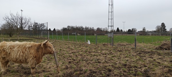 Stade Randaxhe Terrain 2 - Visé-Cheratte