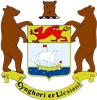 Wappen Penarth Town AFC