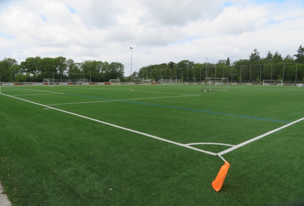 Sportpark De Boshoek veld 2 - Hardenberg