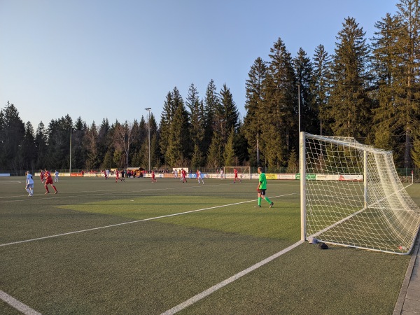 Sportplatz Hinterzarten - Hinterzarten