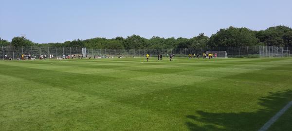 DS Arena Bane 4 - Hobro