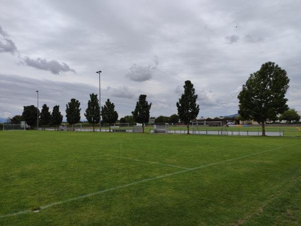 Sportplatz Malterdingen 2 - Malterdingen