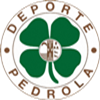Wappen Deporte Pedrola