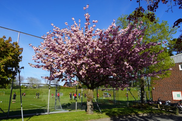 Sportzentrum Hattorf - Wolfsburg-Hattorf