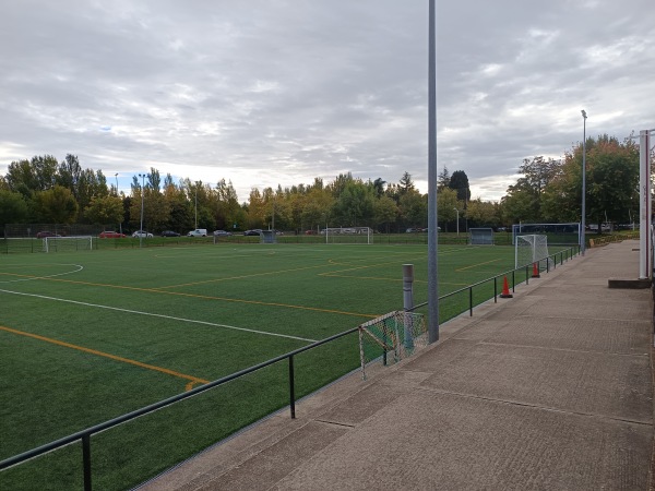 Campo de Fútbol Emilio González - León, CL