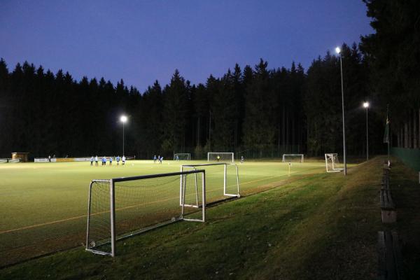 Waldsportplatz - Steinberg/Vogtland-Wernesgrün