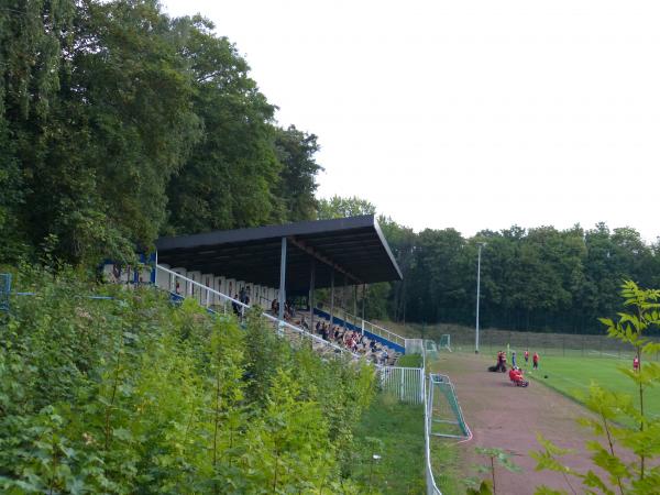 Stand Ende August 2019: Übelst verwildert!