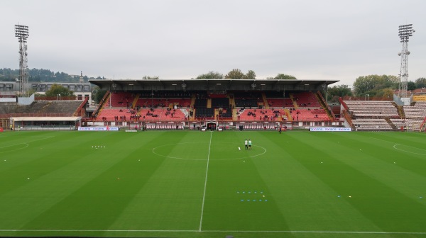 Stadio Romeo Menti (Vicenza) - Vicenza