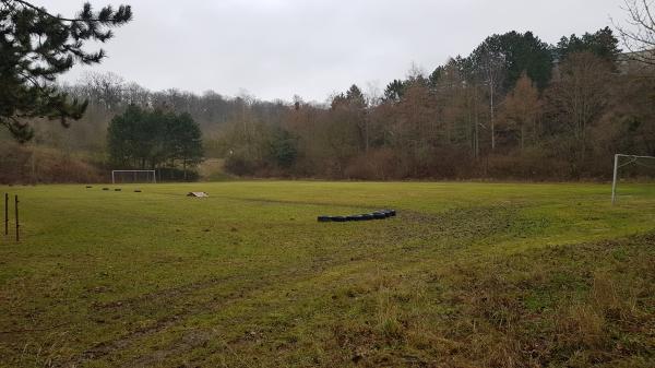 Sportplatz am Schloß - Kölleda-Beichlingen