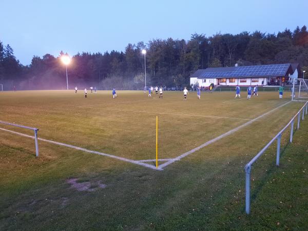 Sportanlage Blaubeurer Straße Platz 2 - Erbach/Donau-Ringingen