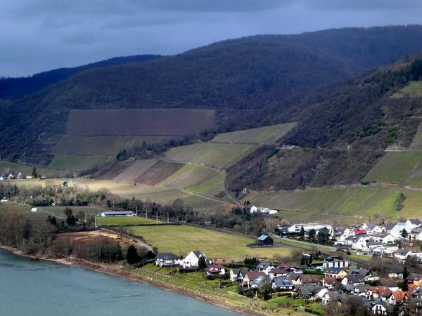 Blick von Weinsicht Andernach