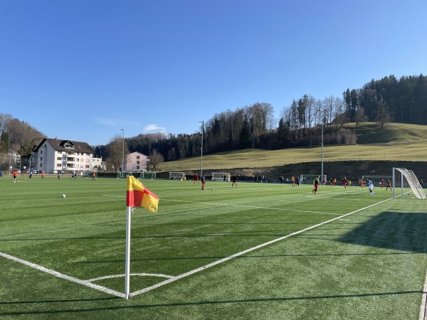 VTAG-Arena Platz 2 - Flawil