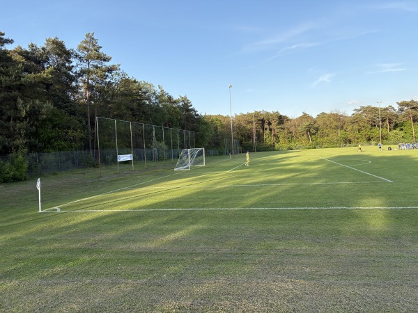 Sport- und Freizeitpark Waldstraße B-Platz - Börger