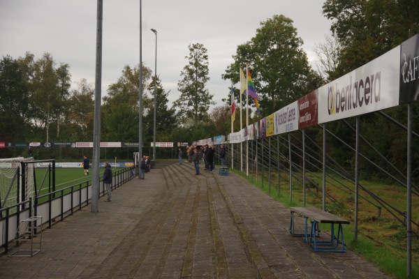 Sportpark Tolhuspark - Dokkum