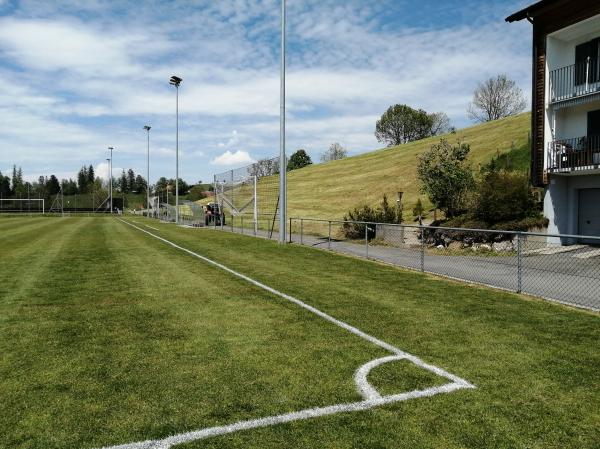 Sportplatz Lienisberg - Walchwil