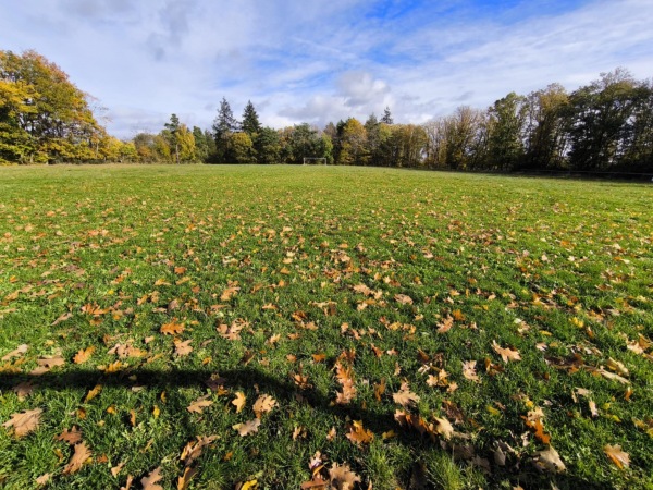 Sportplatz Perscheid - Perscheid
