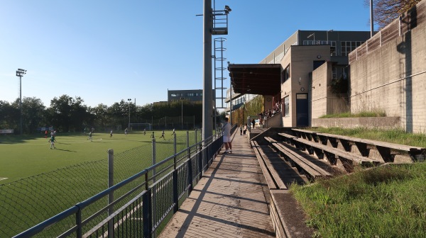 Campo da Calcio Federico Crescentini - Fiorentino