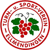 Wappen TuS Ellmendingen 1891  6938