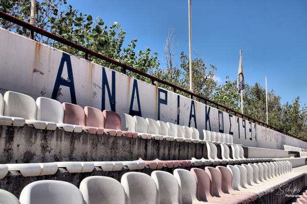 Andros Municipal Stadium - Andros