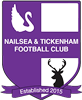 Wappen Nailsea & Tickenham FC  115066