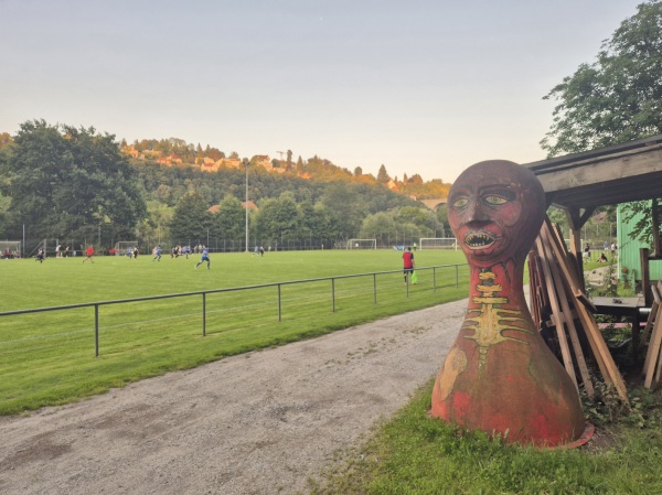 Terrain du Grabensaal - Fribourg