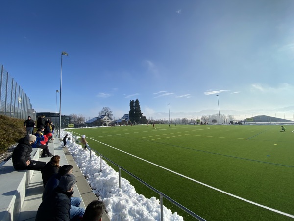 Sportplatz Frohberg Platz 3 - Stäfa