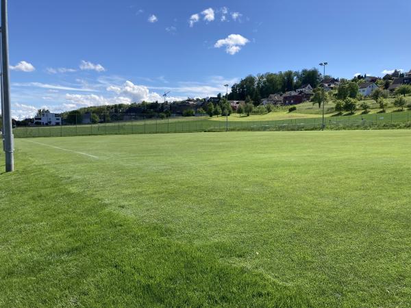 Sportplatz Strandbad Nebenplatz - Beinwil am See