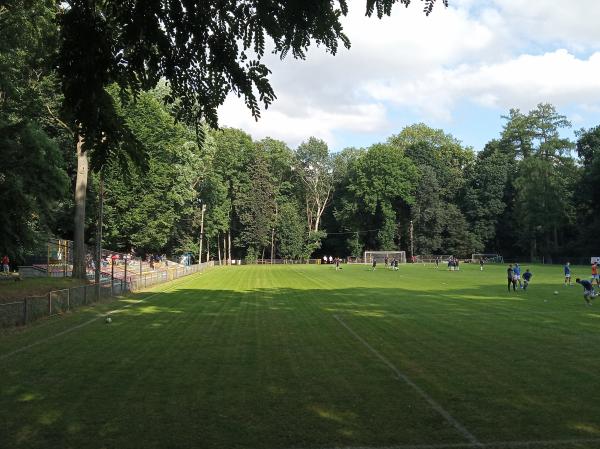 Stadion Gminny w Piotrowicach - Strzyżewice