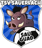 Wappen TSV Sauerlach 1925 diverse