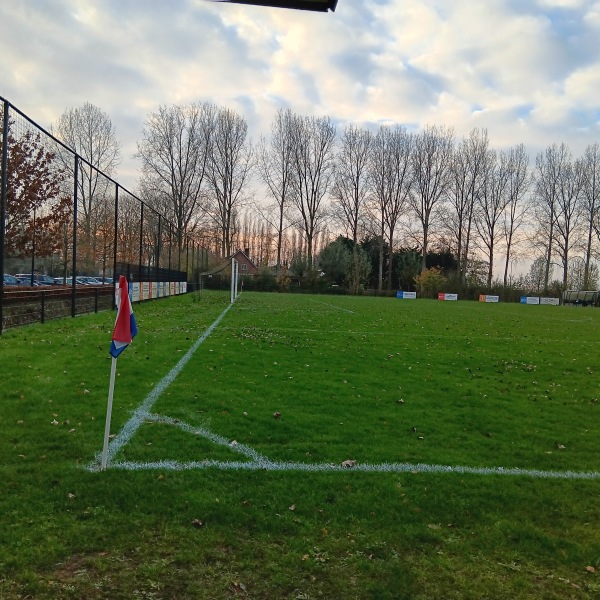 Sportpark Amstelhoef veld 1 - Oss
